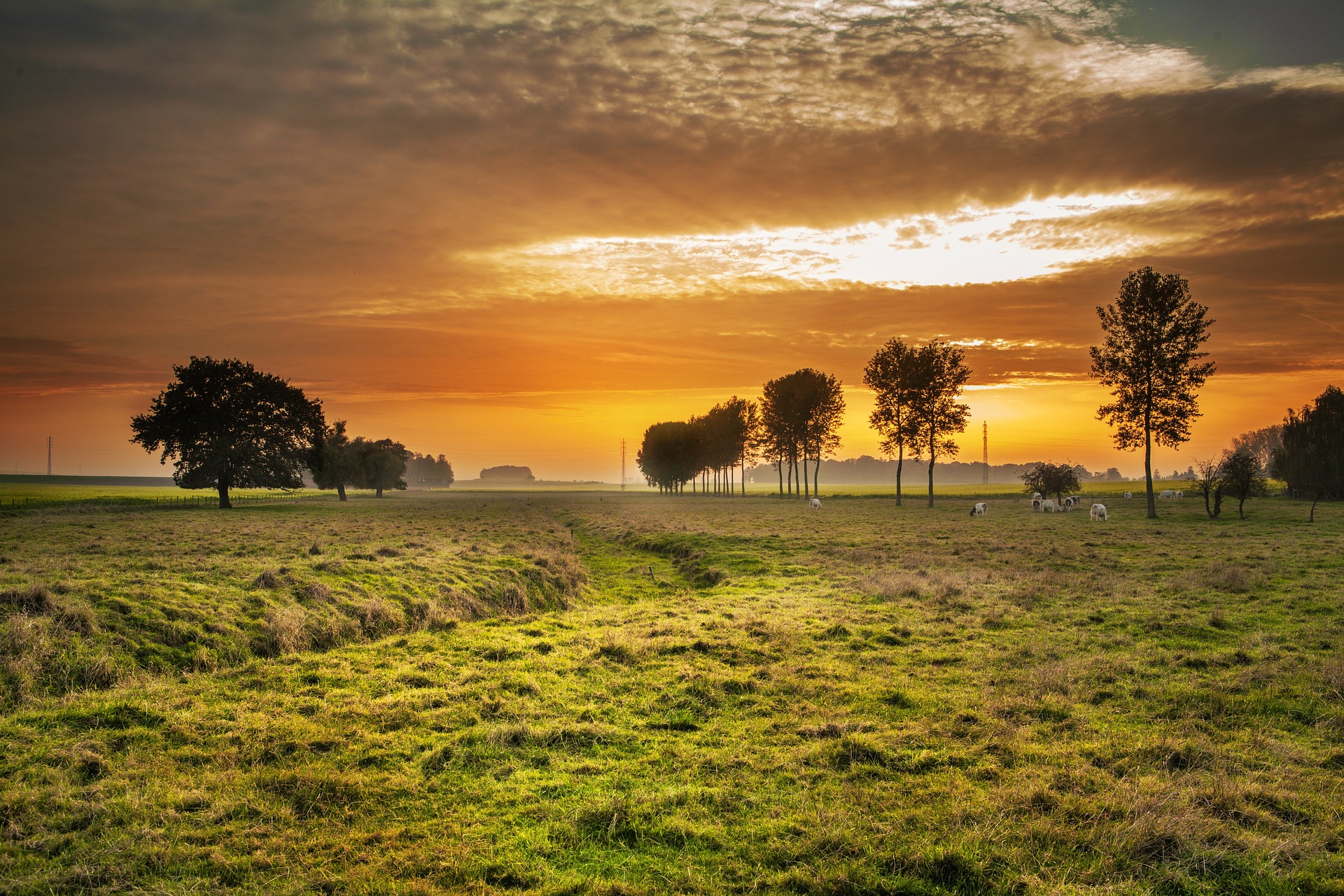 Agricultural Finance Recovery and Restructure