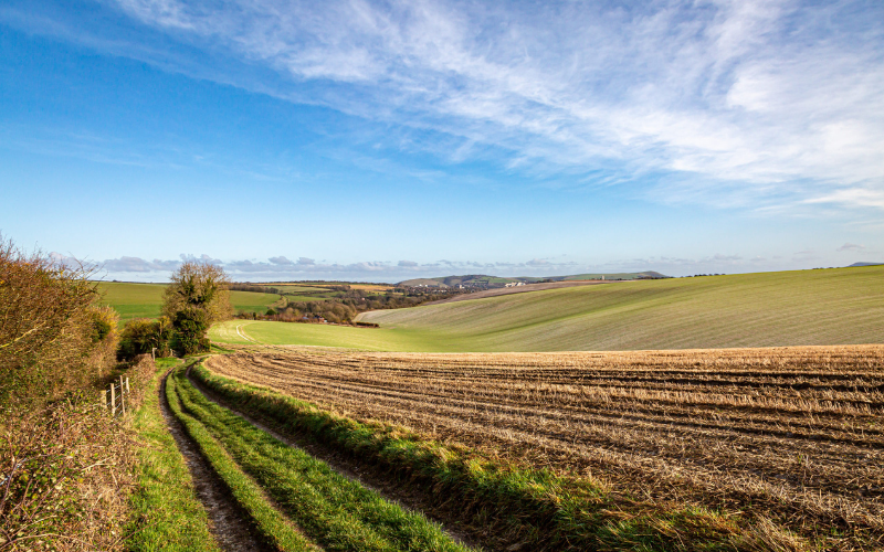 Agricultural Finance