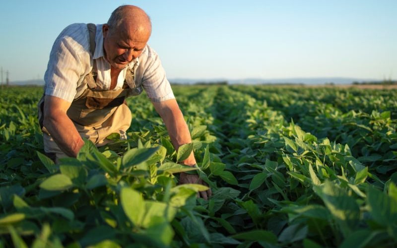 Farm Succession Planning And Financing Succession Post 2026.