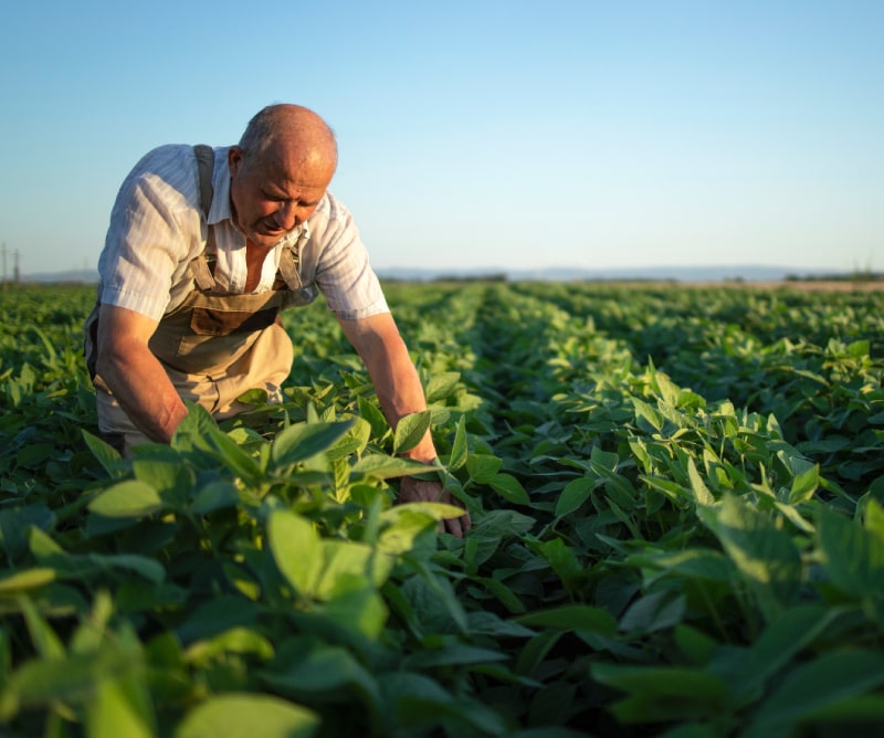 Farm succession planning and financing succession post 2026.
