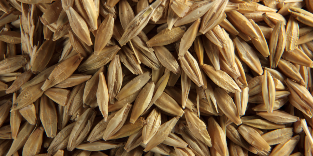 Straw - Multi-generational Farm Business
