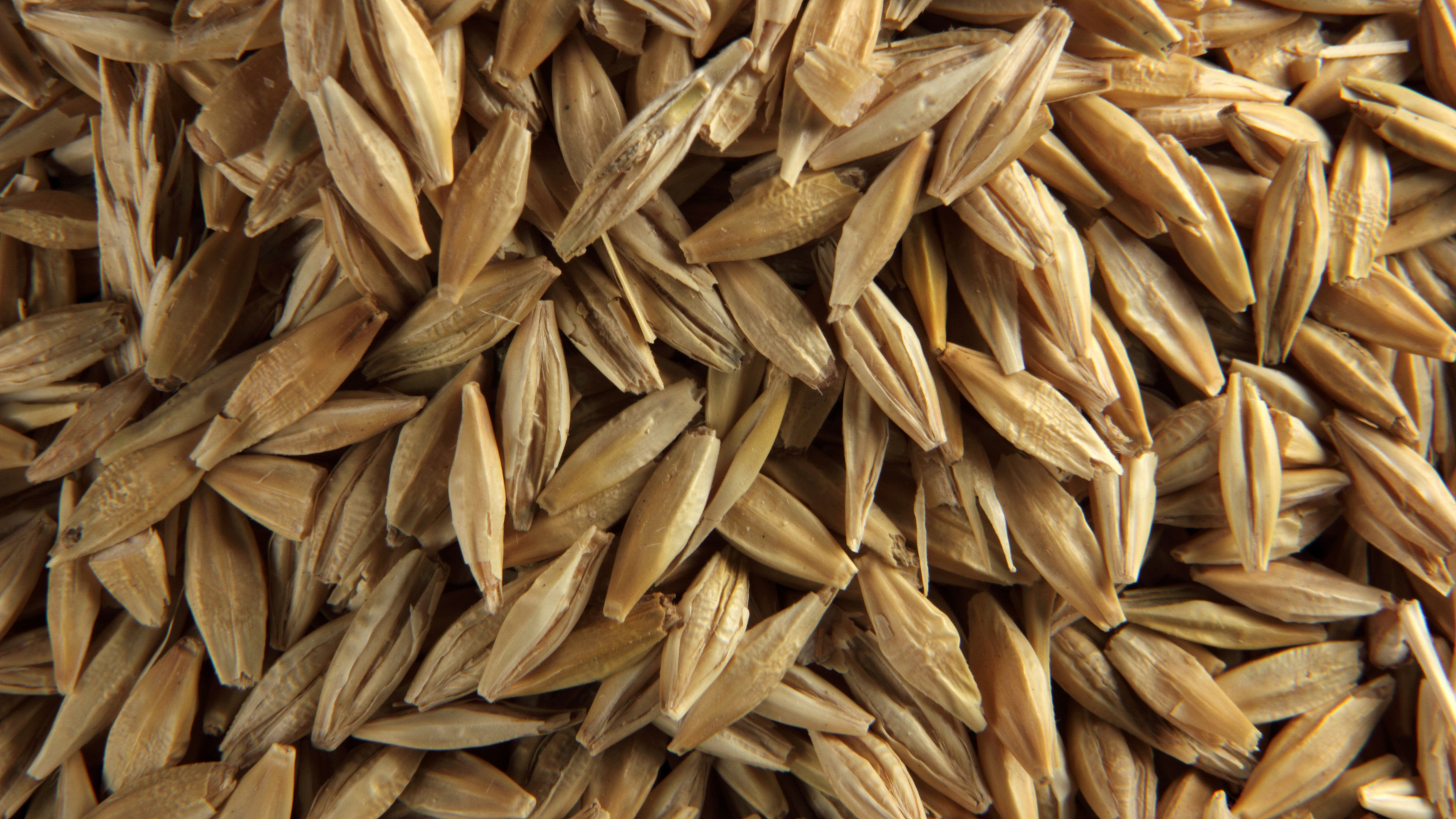 Straw - multi-generational farm business