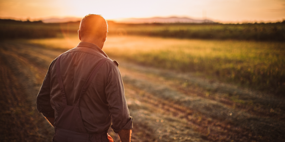 Arable Farming And Water Resilience, How To Finance Water Management