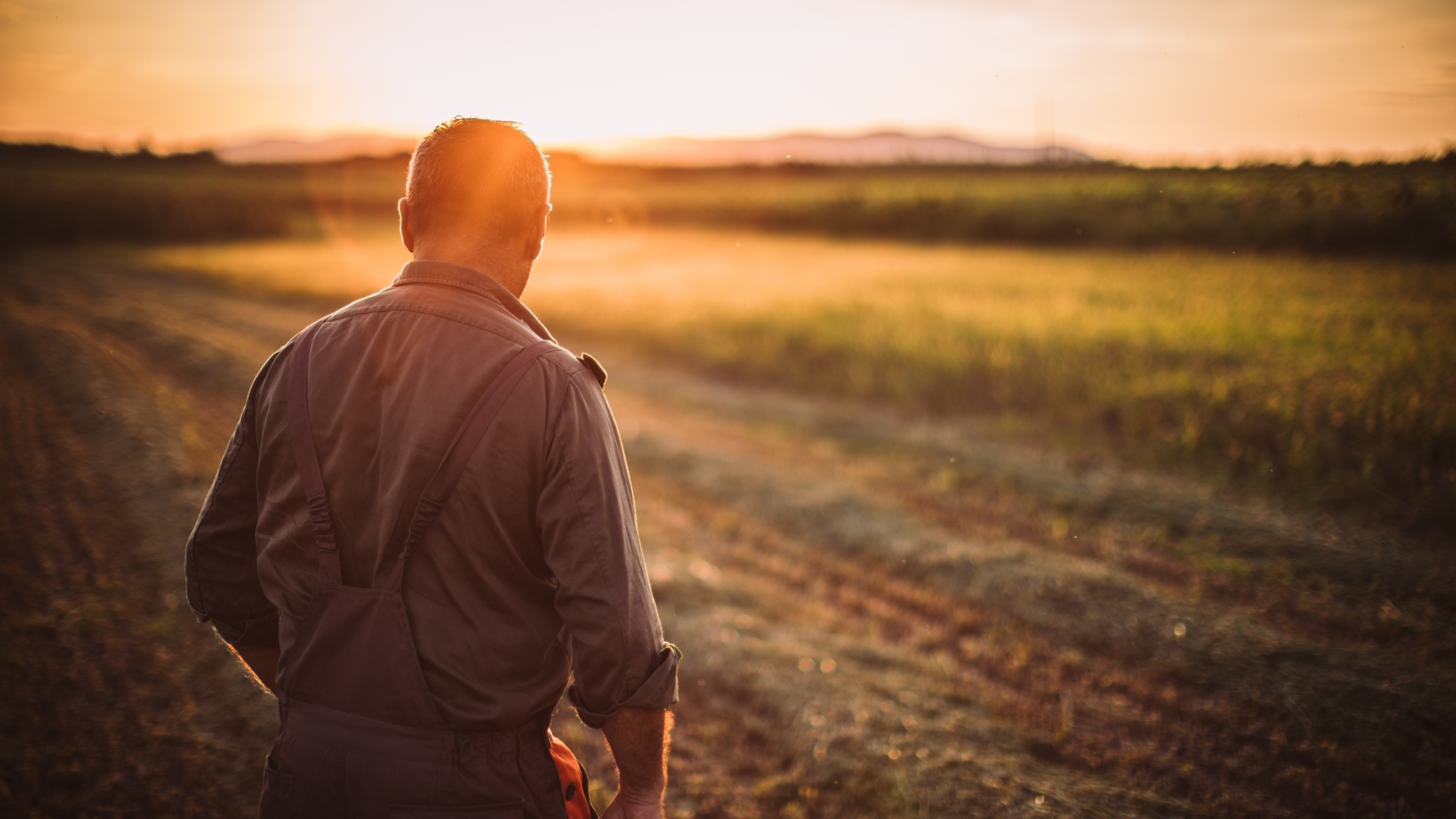 Arable farming and water resilience, how to finance water management