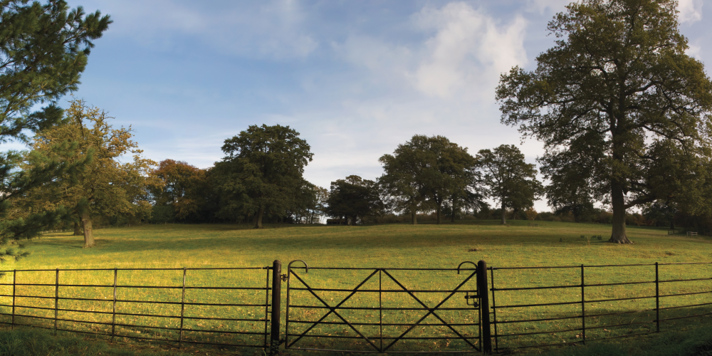 Mixed-Use Rural Estate Finance